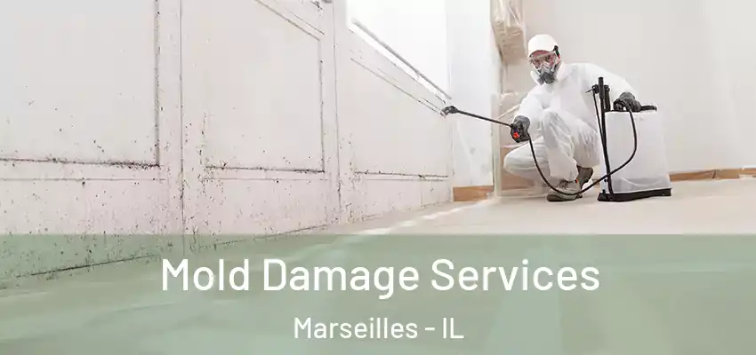 Mold Damage Services Marseilles - IL