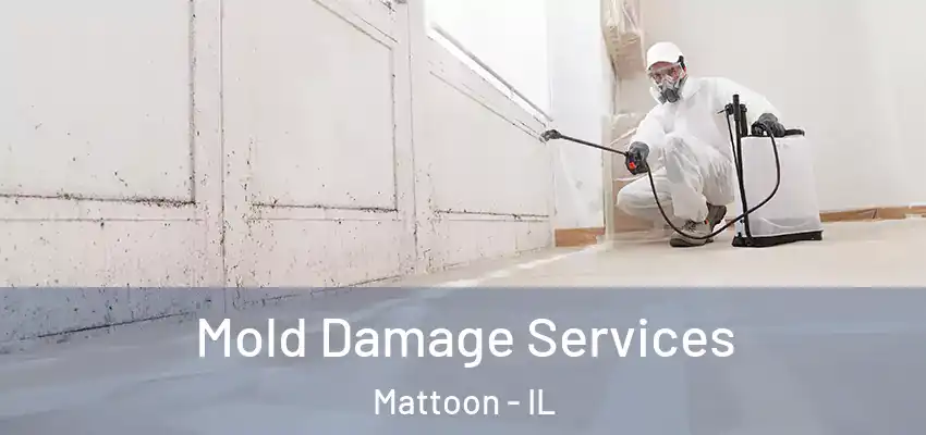  Mold Damage Services Mattoon - IL