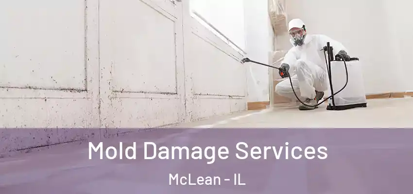  Mold Damage Services McLean - IL