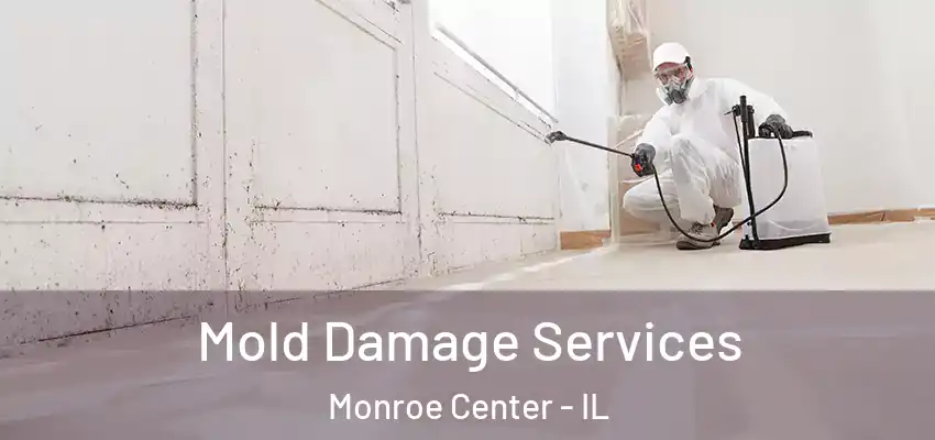 Mold Damage Services Monroe Center - IL
