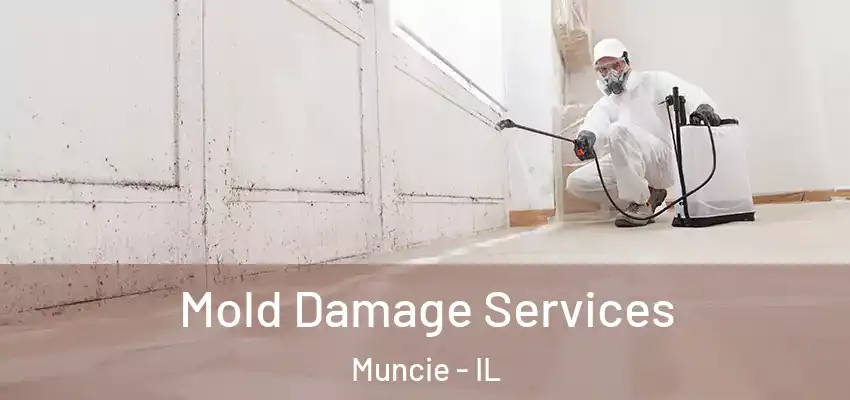  Mold Damage Services Muncie - IL