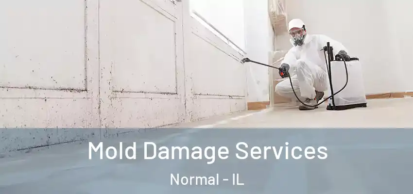  Mold Damage Services Normal - IL