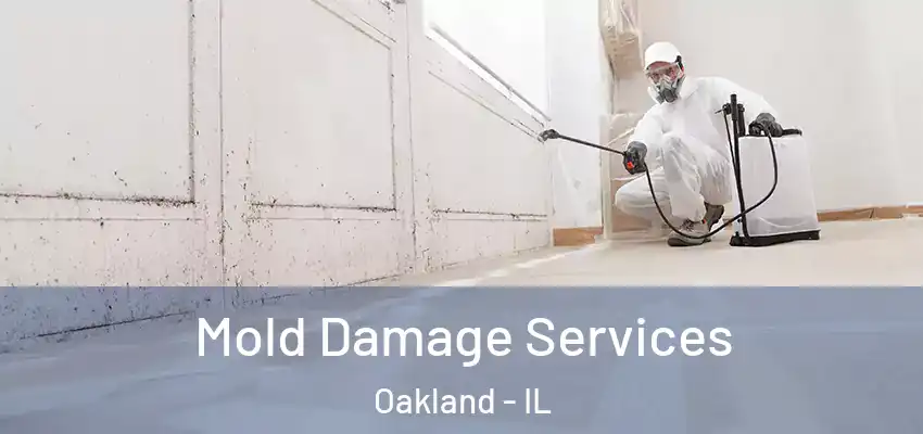  Mold Damage Services Oakland - IL