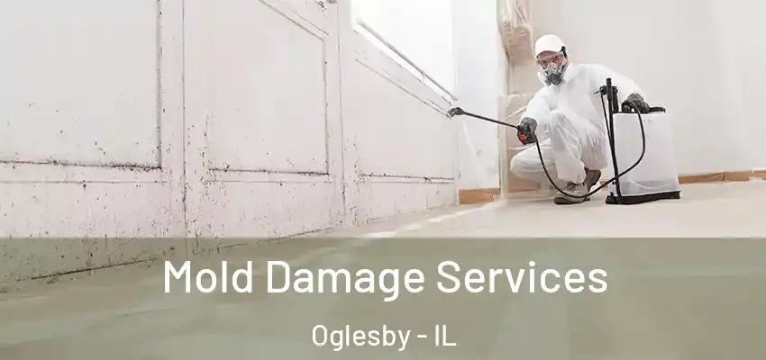  Mold Damage Services Oglesby - IL