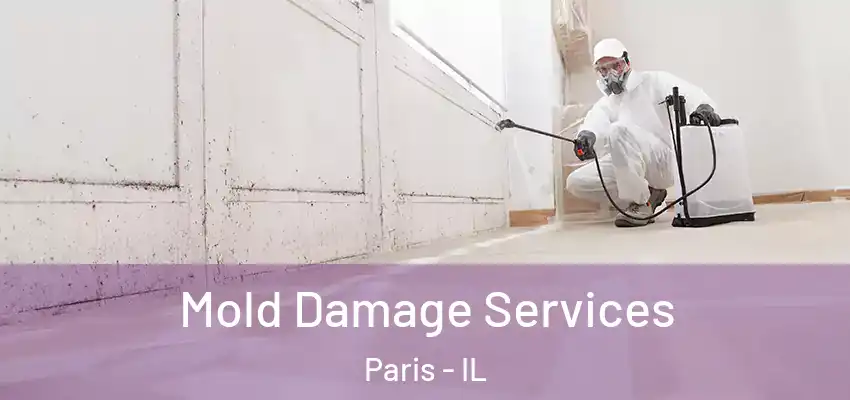  Mold Damage Services Paris - IL
