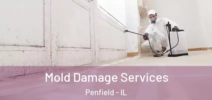  Mold Damage Services Penfield - IL