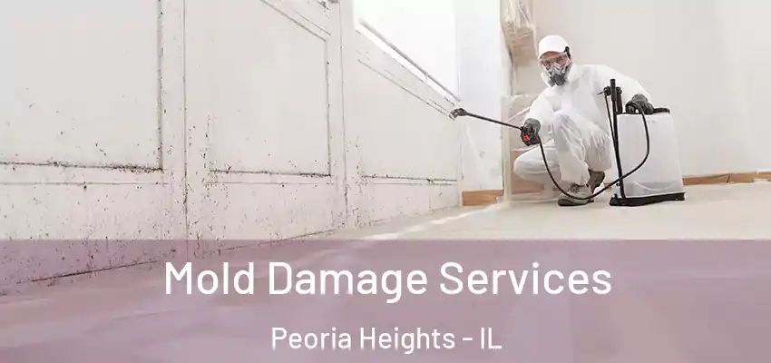  Mold Damage Services Peoria Heights - IL