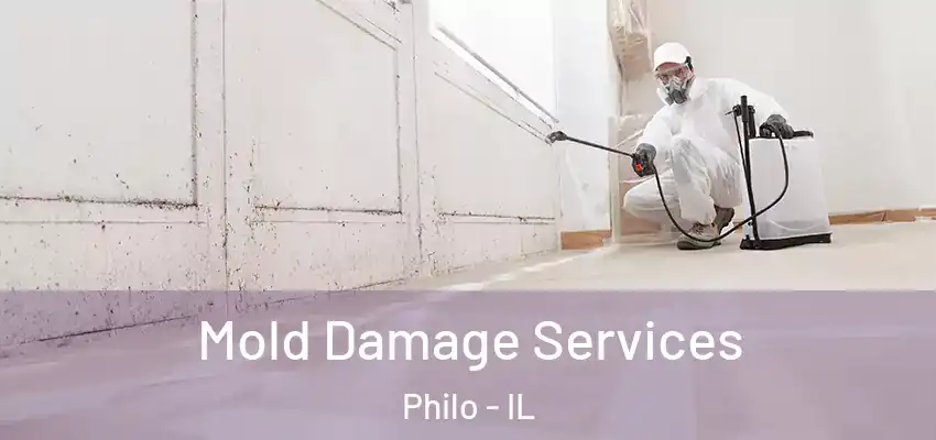  Mold Damage Services Philo - IL