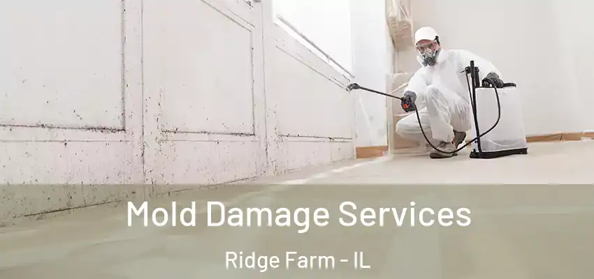  Mold Damage Services Ridge Farm - IL