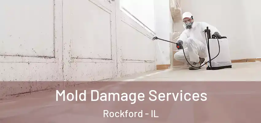  Mold Damage Services Rockford - IL