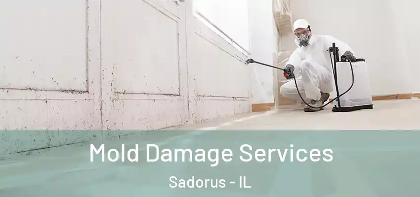  Mold Damage Services Sadorus - IL