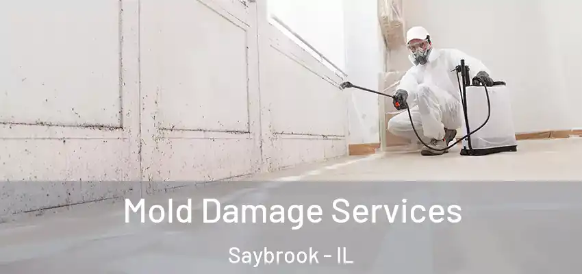  Mold Damage Services Saybrook - IL