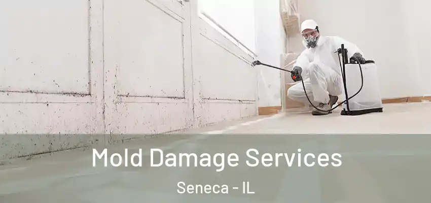  Mold Damage Services Seneca - IL