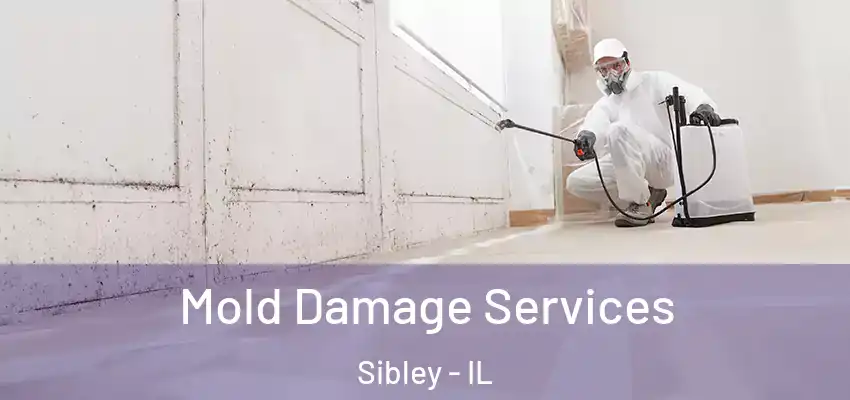  Mold Damage Services Sibley - IL