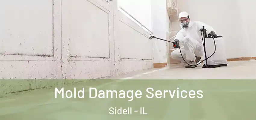  Mold Damage Services Sidell - IL