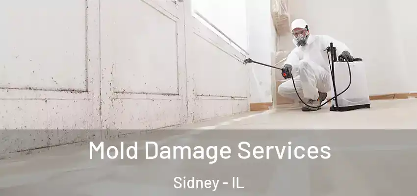  Mold Damage Services Sidney - IL