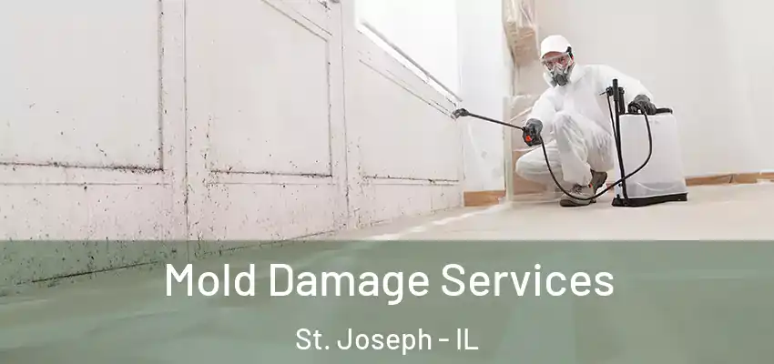  Mold Damage Services St. Joseph - IL