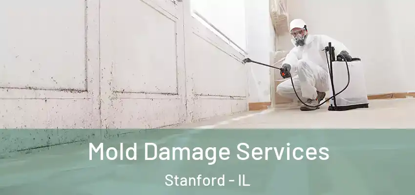  Mold Damage Services Stanford - IL