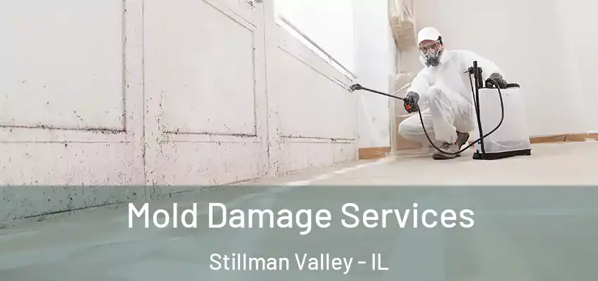  Mold Damage Services Stillman Valley - IL