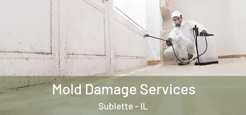  Mold Damage Services Sublette - IL