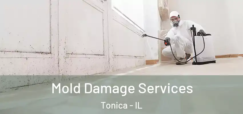  Mold Damage Services Tonica - IL