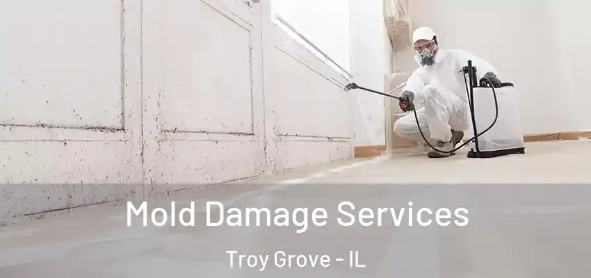  Mold Damage Services Troy Grove - IL