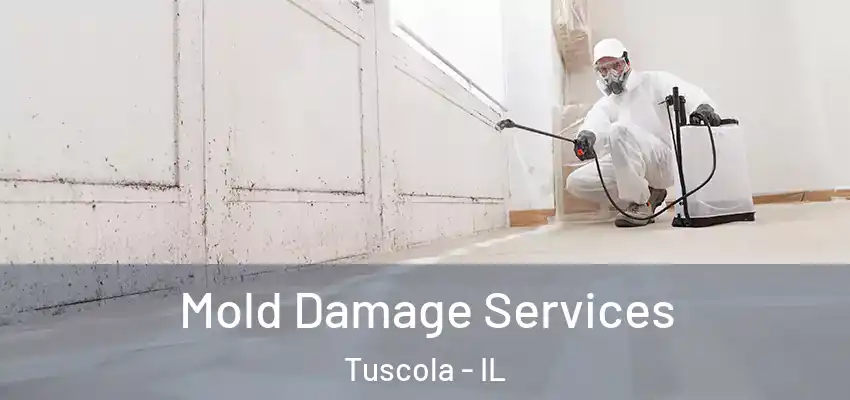  Mold Damage Services Tuscola - IL