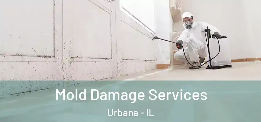 Mold Damage Services Urbana - IL