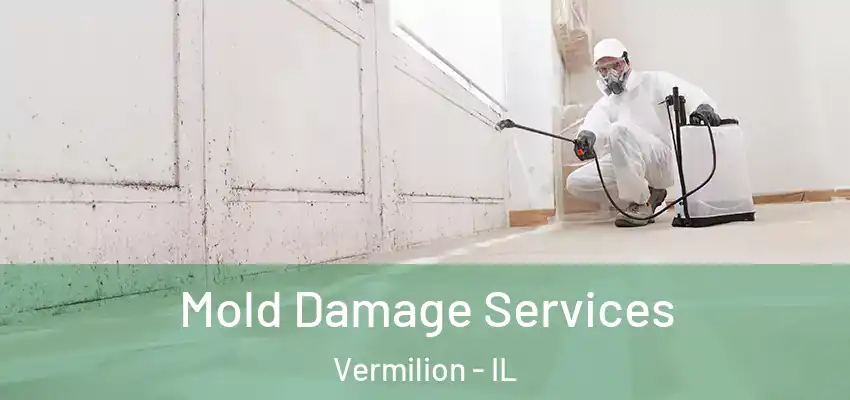 Mold Damage Services Vermilion - IL