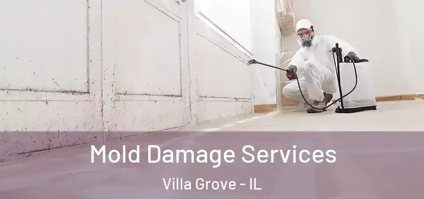  Mold Damage Services Villa Grove - IL