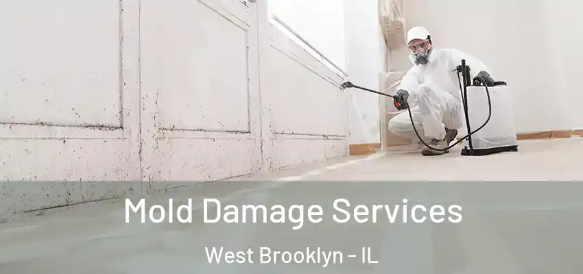  Mold Damage Services West Brooklyn - IL