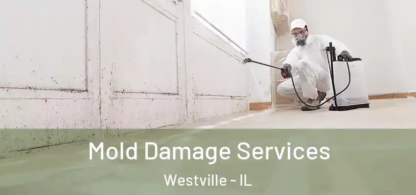  Mold Damage Services Westville - IL