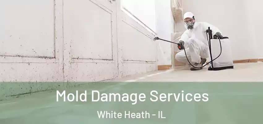 Mold Damage Services White Heath - IL