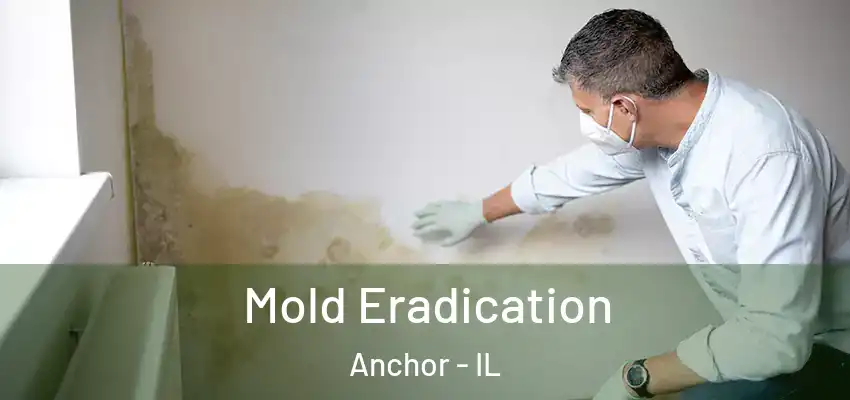  Mold Eradication Anchor - IL