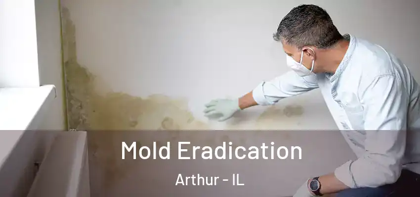  Mold Eradication Arthur - IL