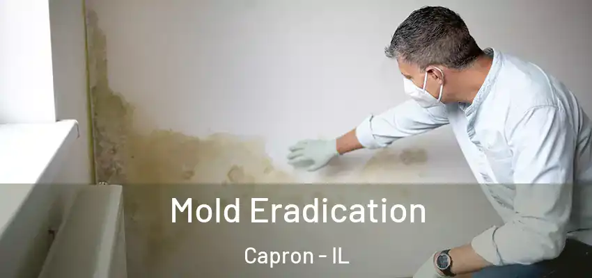  Mold Eradication Capron - IL