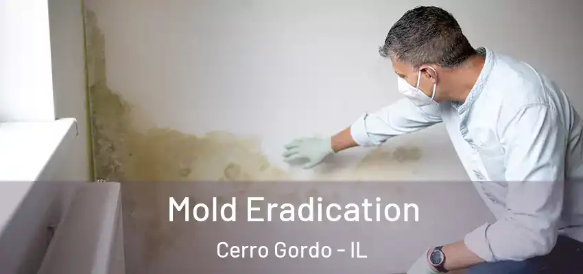  Mold Eradication Cerro Gordo - IL