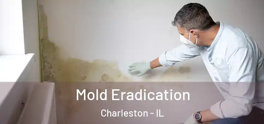 Mold Eradication Charleston - IL