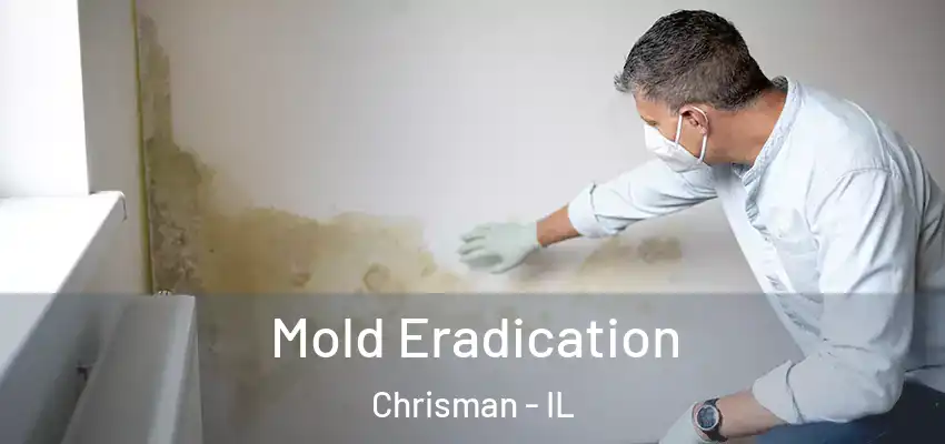  Mold Eradication Chrisman - IL