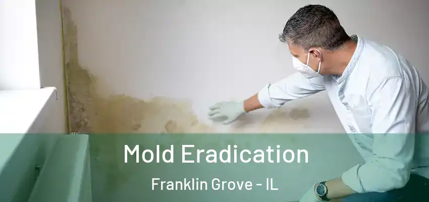  Mold Eradication Franklin Grove - IL
