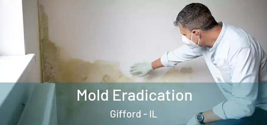 Mold Eradication Gifford - IL