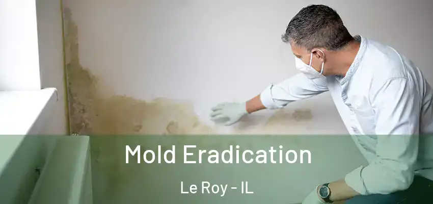 Mold Eradication Le Roy - IL