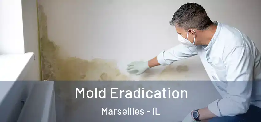  Mold Eradication Marseilles - IL