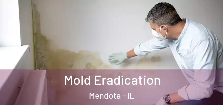  Mold Eradication Mendota - IL