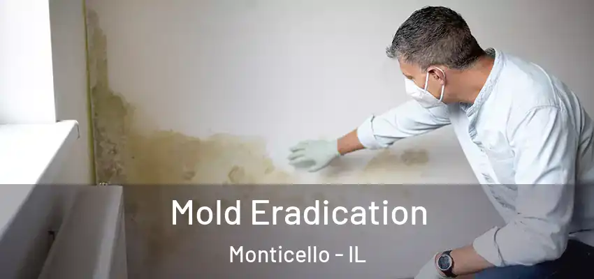Mold Eradication Monticello - IL