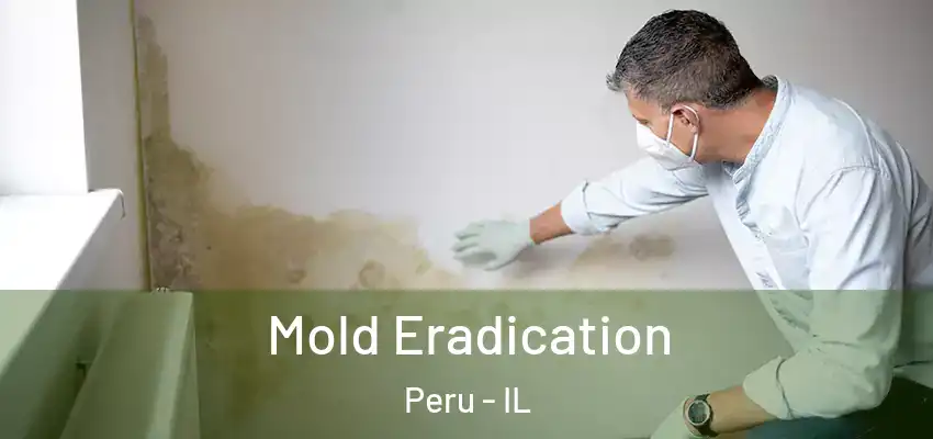  Mold Eradication Peru - IL