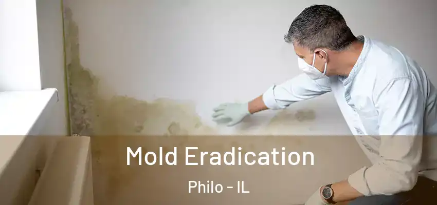  Mold Eradication Philo - IL