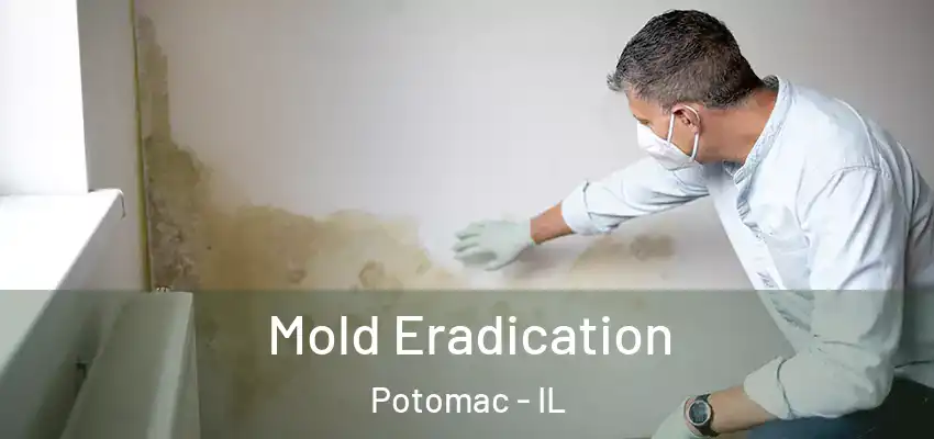  Mold Eradication Potomac - IL