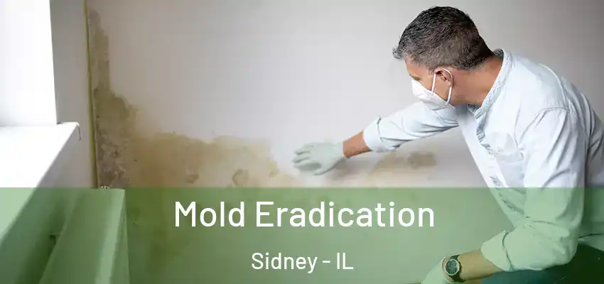  Mold Eradication Sidney - IL