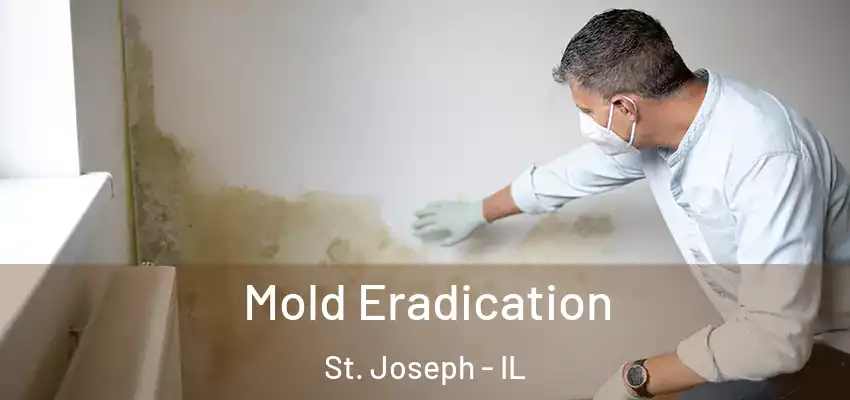  Mold Eradication St. Joseph - IL